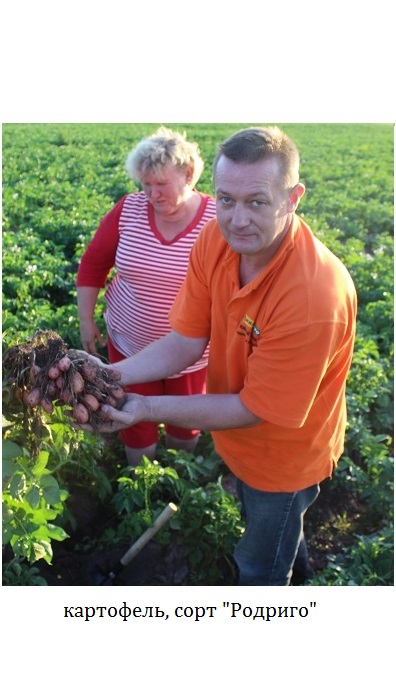 agromiv